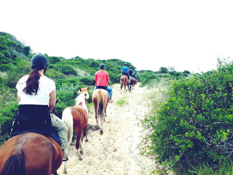 Oyster Bay Lodge Bagian luar foto