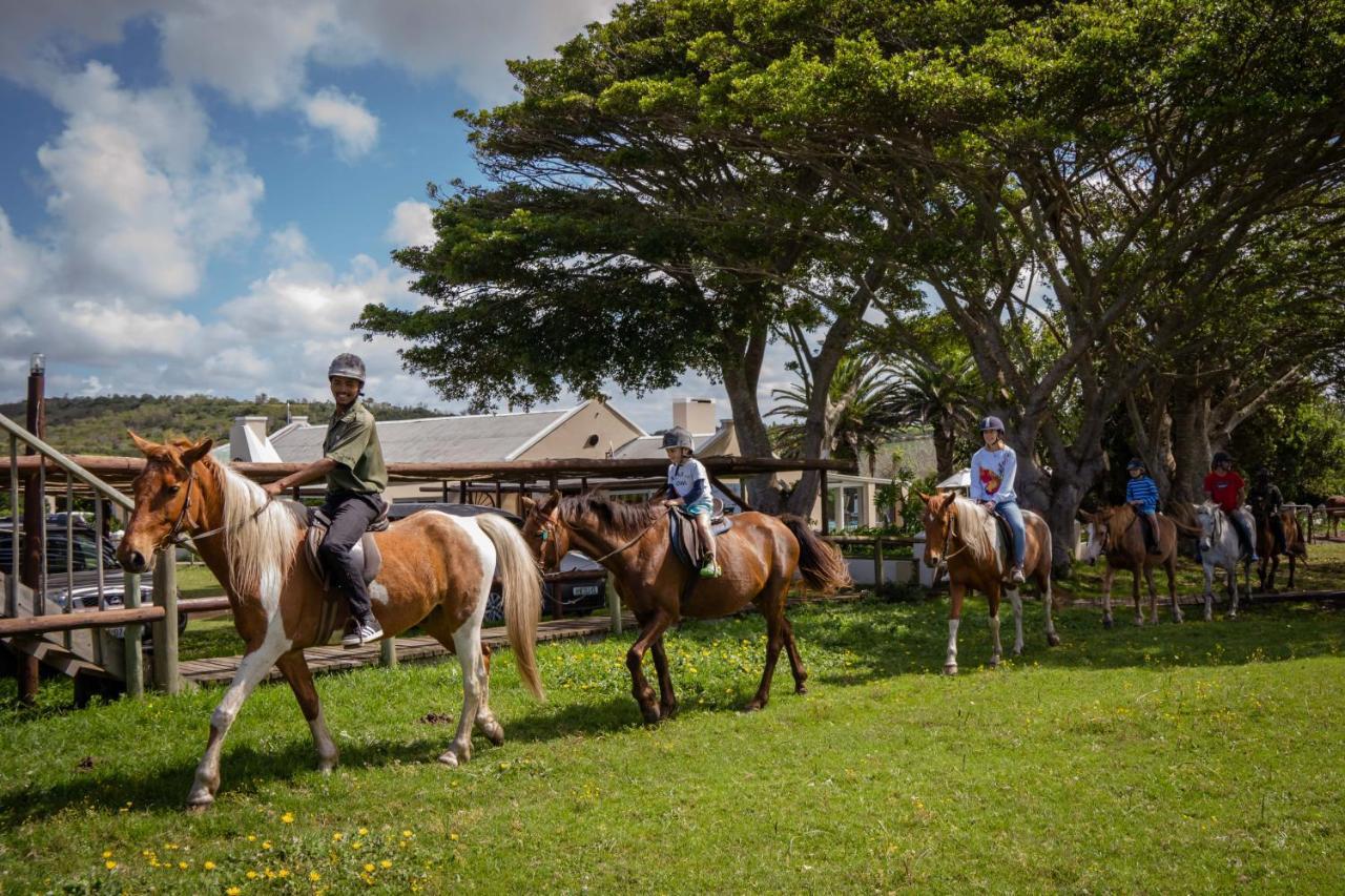 Oyster Bay Lodge Bagian luar foto