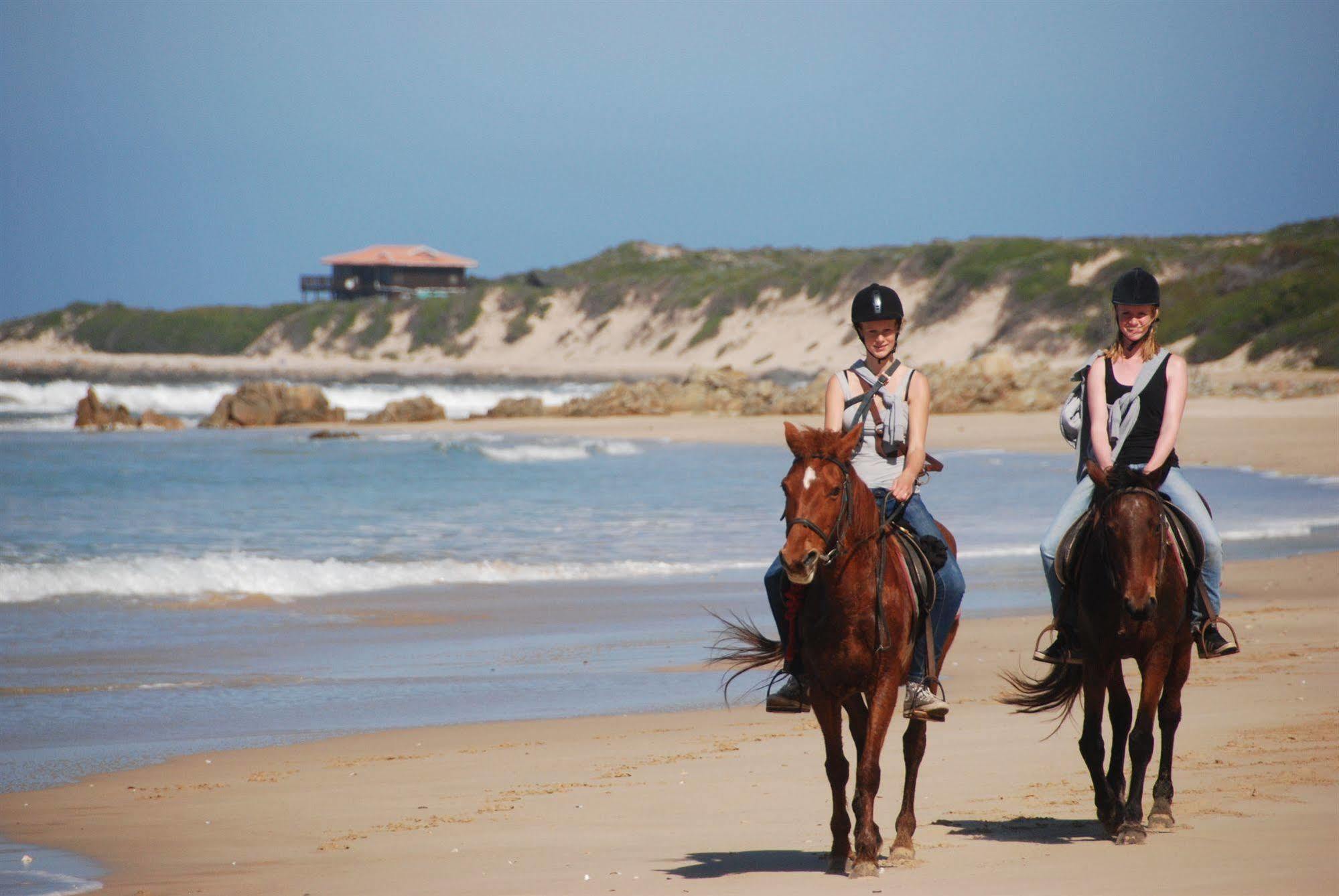 Oyster Bay Lodge Bagian luar foto